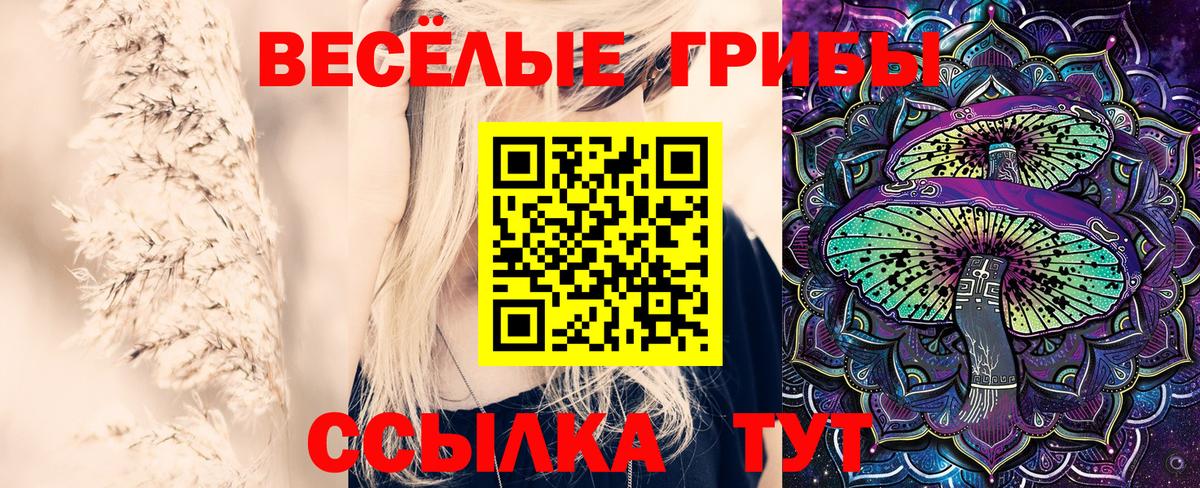 Галлюциногенные грибы мицелий Свободный