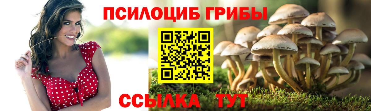 Свободный  Псилоцибиновые грибы Magic Shrooms  продажа наркотиков  Вход с VPN  Псилоцибиновые грибы Magic Shrooms 